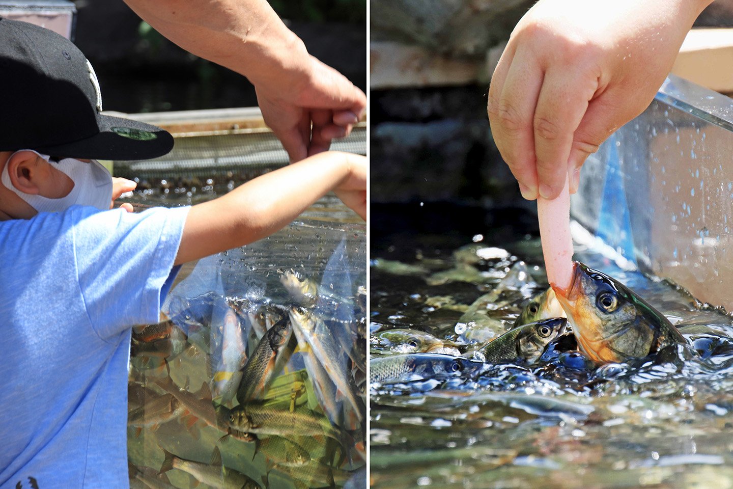 🐠 사가미강 후레아이 과학관 아쿠아리움 사가미하라 이미지 7